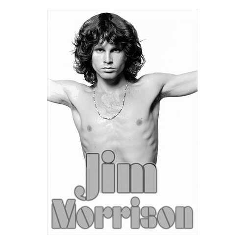 Постер СТ-Диалог Jim Morrison, МУЗ-314, бумага, 60х90 см в Аквафор